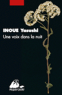 Une voix dans la nuit
